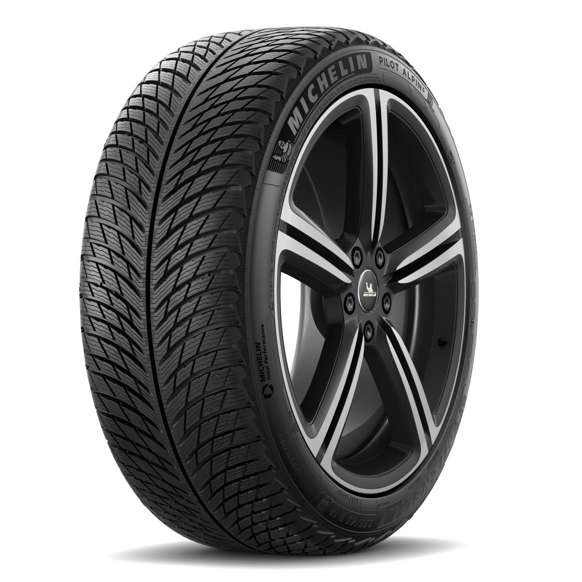 Michelin Pilot Alpin 5 Reifen 295/30 R21 102W XL