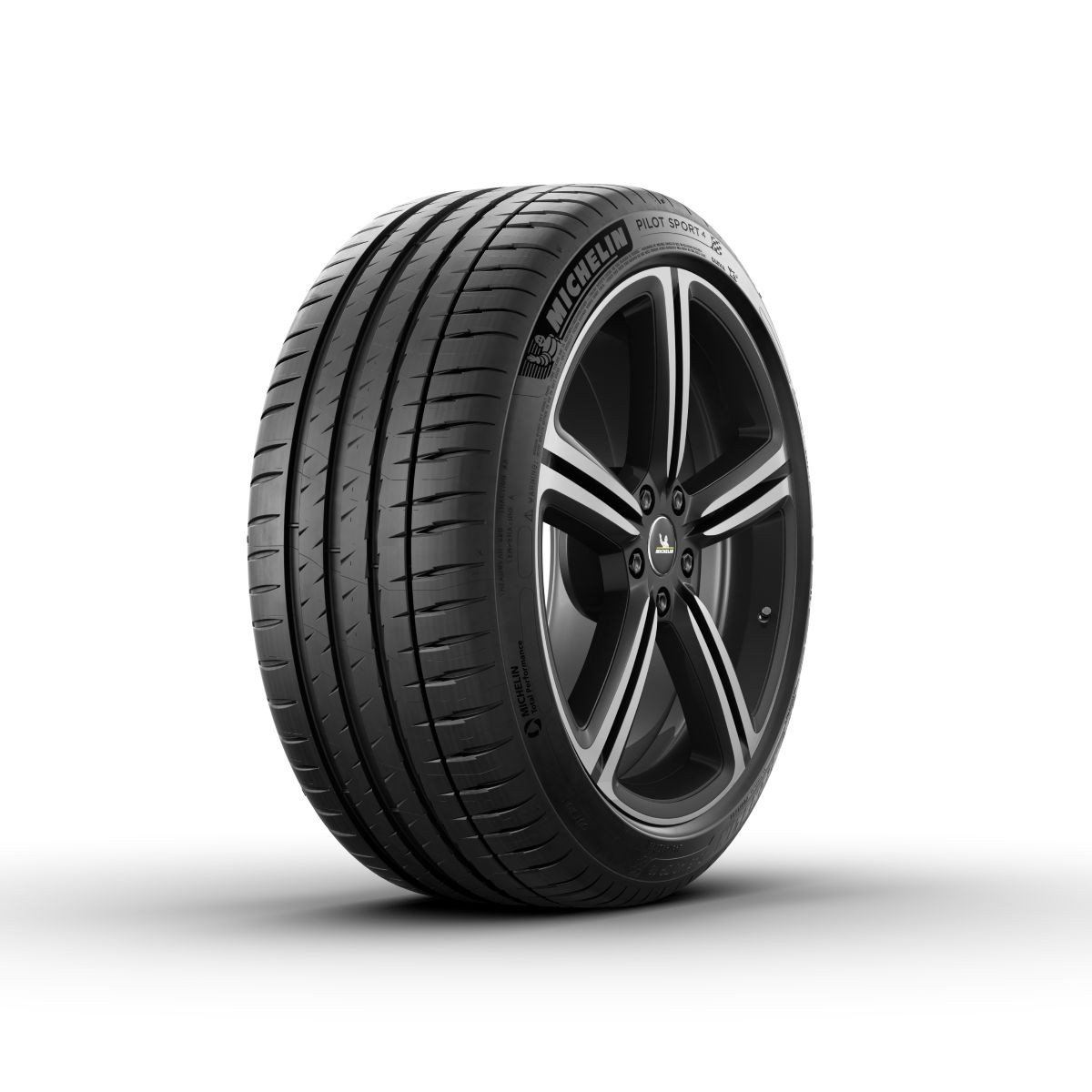 Michelin Pilot Sport 4 Reifen 315/30 R21 105Y XL