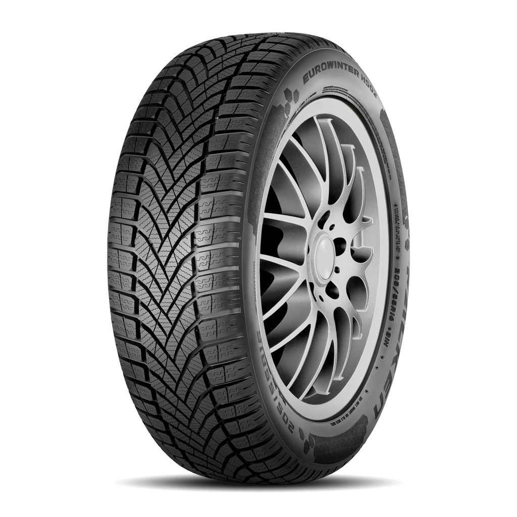 Falken EUROWINTER HS02 Reifen 205/65 R16 95H
