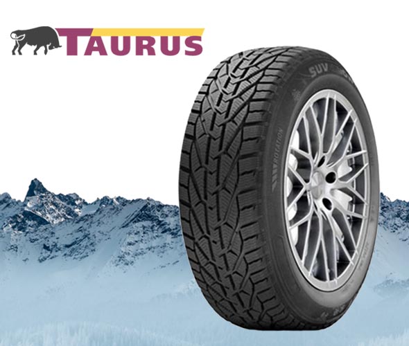 Taurus WINTER M+S 3PMSF T Reifen 195/55 R16 87H