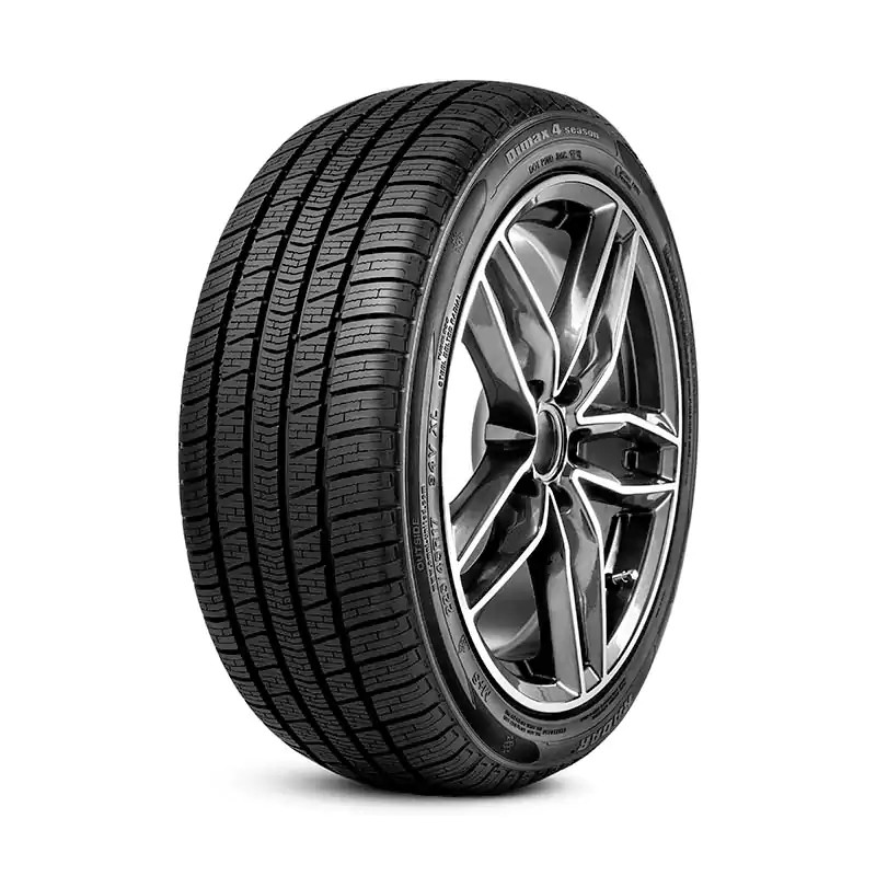 Radar Dimax 4 Season Reifen 195/55 R16 91V XL