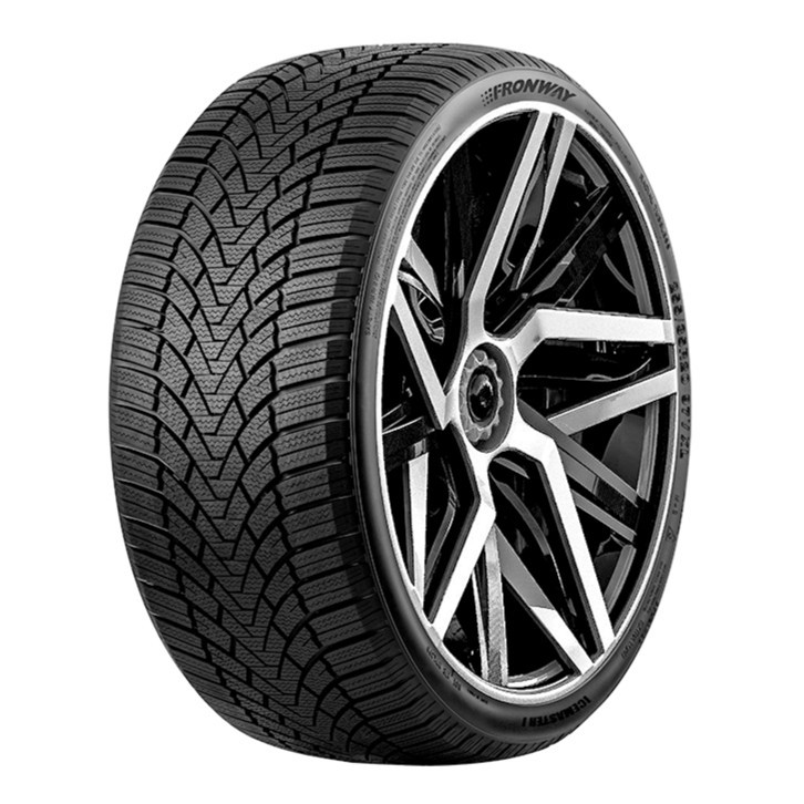 FRONWAY ICEMASTER I Reifen 205/50 R17 93H XL