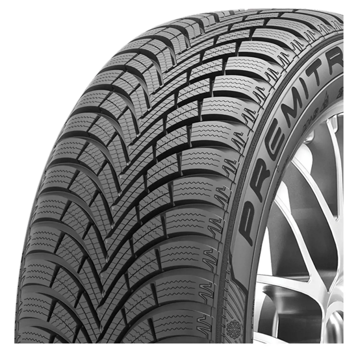 Maxxis WP6 Premitra Snow 225/55 R17 101V