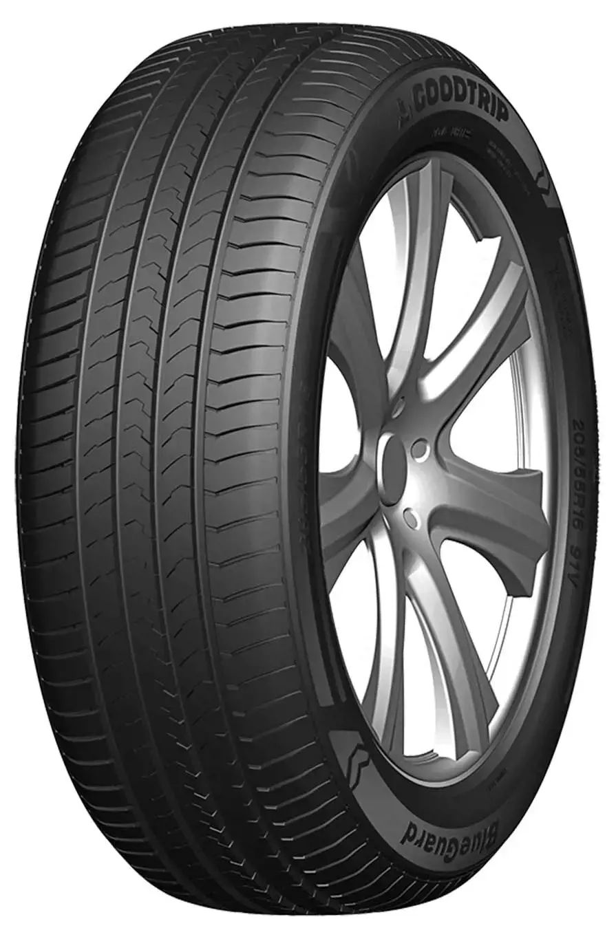 Goodtrip BlueGuard 225/55 R16 99W
